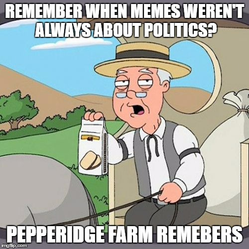 Pepperidge Farm Remembers | REMEMBER WHEN MEMES WEREN'T ALWAYS ABOUT POLITICS? PEPPERIDGE FARM REMEBERS | image tagged in memes,pepperidge farm remembers | made w/ Imgflip meme maker