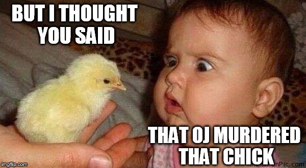 OJ Didn't Do It!!! | BUT I THOUGHT YOU SAID; THAT OJ MURDERED THAT CHICK | image tagged in scary chick,baby,chick,chicken | made w/ Imgflip meme maker