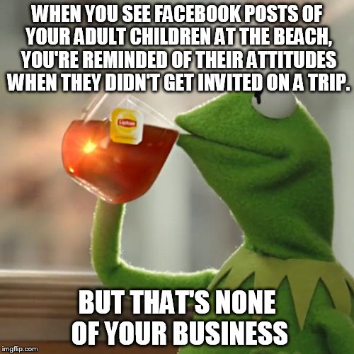 But That's None Of My Business Meme | WHEN YOU SEE FACEBOOK POSTS OF YOUR ADULT CHILDREN AT THE BEACH, YOU'RE REMINDED OF THEIR ATTITUDES WHEN THEY DIDN'T GET INVITED ON A TRIP. BUT THAT'S NONE OF YOUR BUSINESS | image tagged in memes,but thats none of my business,kermit the frog | made w/ Imgflip meme maker