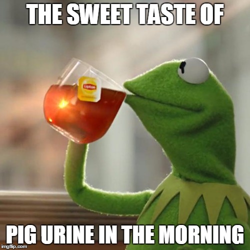 But That's None Of My Business Meme | THE SWEET TASTE OF; PIG URINE IN THE MORNING | image tagged in memes,but thats none of my business,kermit the frog | made w/ Imgflip meme maker