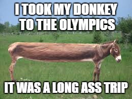 I TOOK MY DONKEY TO THE OLYMPICS IT WAS A LONG ASS TRIP | made w/ Imgflip meme maker