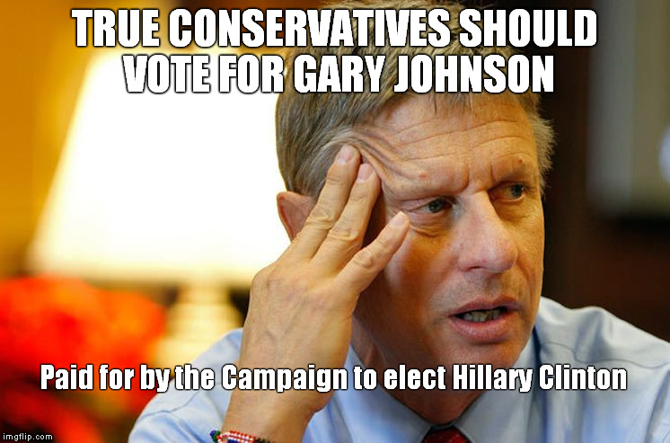 Clinton | TRUE CONSERVATIVES SHOULD VOTE FOR GARY JOHNSON; Paid for by the Campaign to elect Hillary Clinton | image tagged in trump 2016 | made w/ Imgflip meme maker
