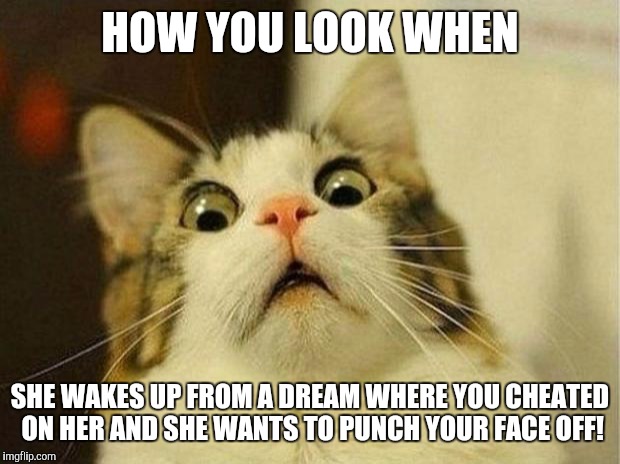 Scared Cat |  HOW YOU LOOK WHEN; SHE WAKES UP FROM A DREAM WHERE YOU CHEATED ON HER AND SHE WANTS TO PUNCH YOUR FACE OFF! | image tagged in memes,scared cat | made w/ Imgflip meme maker