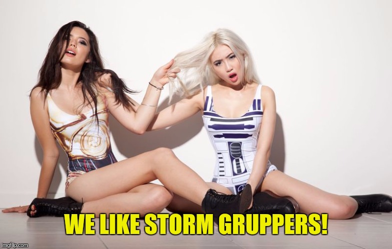 WE LIKE STORM GRUPPERS! | made w/ Imgflip meme maker