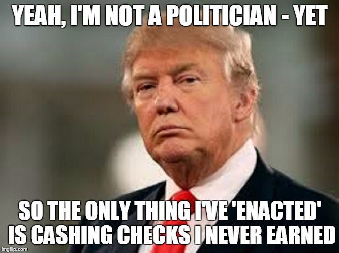 YEAH, I'M NOT A POLITICIAN - YET SO THE ONLY THING I'VE 'ENACTED' IS CASHING CHECKS I NEVER EARNED | made w/ Imgflip meme maker