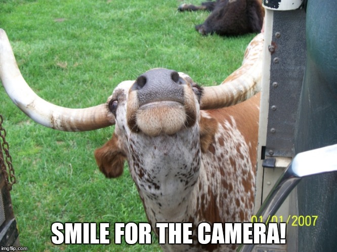 Picture Day | SMILE FOR THE CAMERA! | image tagged in original meme | made w/ Imgflip meme maker