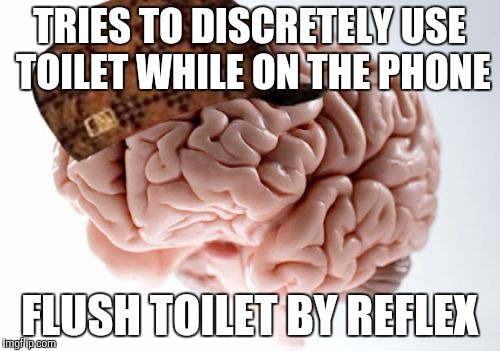 Scumbag Brain | TRIES TO DISCRETELY USE TOILET WHILE ON THE PHONE; FLUSH TOILET BY REFLEX | image tagged in memes,scumbag brain,AdviceAnimals | made w/ Imgflip meme maker