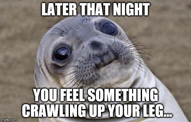 Awkward Moment Sealion Meme | LATER THAT NIGHT YOU FEEL SOMETHING CRAWLING UP YOUR LEG... | image tagged in memes,awkward moment sealion | made w/ Imgflip meme maker
