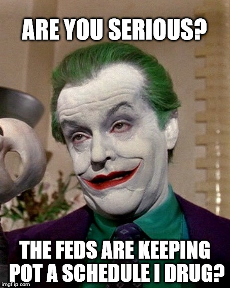 Joker | ARE YOU SERIOUS? THE FEDS ARE KEEPING POT A SCHEDULE I DRUG? | image tagged in joker | made w/ Imgflip meme maker