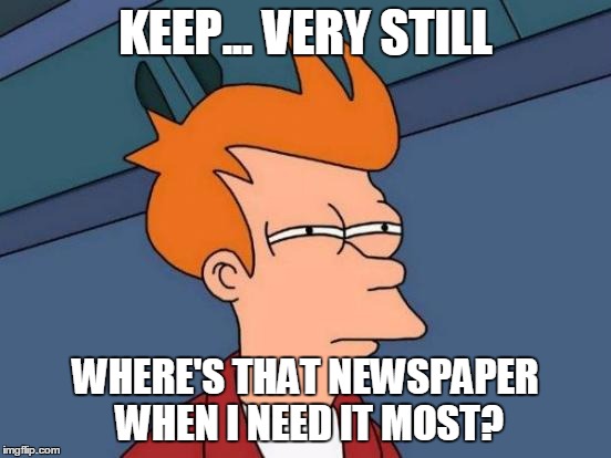 Futurama Fry Meme | KEEP... VERY STILL WHERE'S THAT NEWSPAPER WHEN I NEED IT MOST? | image tagged in memes,futurama fry | made w/ Imgflip meme maker