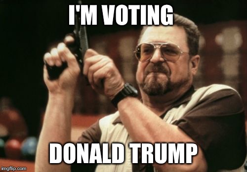 Am I The Only One Around Here | I'M VOTING; DONALD TRUMP | image tagged in memes,am i the only one around here | made w/ Imgflip meme maker