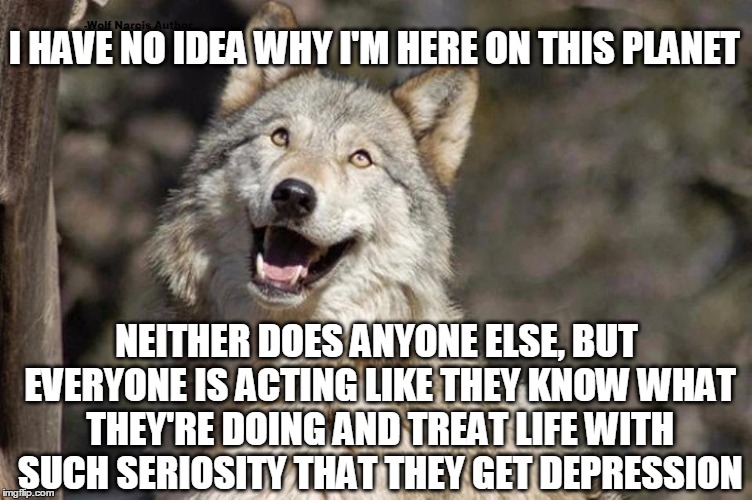 Optimistic Moon Moon Wolf Vanadium Wolf | I HAVE NO IDEA WHY I'M HERE ON THIS PLANET; NEITHER DOES ANYONE ELSE, BUT EVERYONE IS ACTING LIKE THEY KNOW WHAT THEY'RE DOING AND TREAT LIFE WITH SUCH SERIOSITY THAT THEY GET DEPRESSION | image tagged in optimistic moon moon wolf vanadium wolf | made w/ Imgflip meme maker