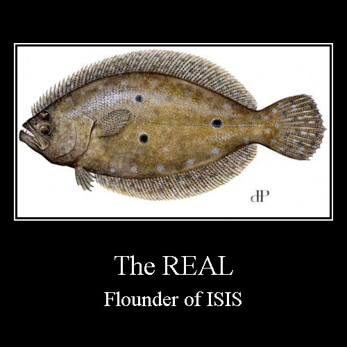Our Flounder | image tagged in funny,demotivationals,trump,hillary,obama,isis | made w/ Imgflip demotivational maker