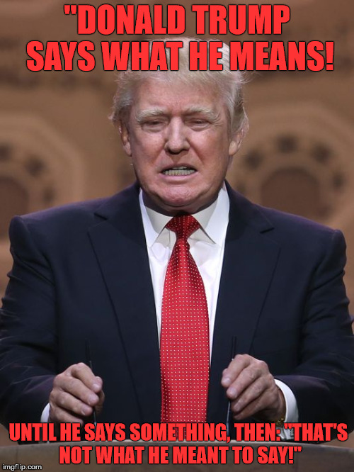 Donald Trump | "DONALD TRUMP SAYS WHAT HE MEANS! UNTIL HE SAYS SOMETHING, THEN:
"THAT'S NOT WHAT HE MEANT TO SAY!" | image tagged in donald trump | made w/ Imgflip meme maker