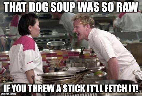 Angry Chef Gordon Ramsay | THAT DOG SOUP WAS SO RAW; IF YOU THREW A STICK IT'LL FETCH IT! | image tagged in memes,angry chef gordon ramsay | made w/ Imgflip meme maker