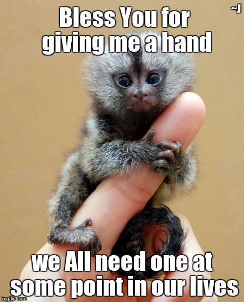 Paying Kindness Forward | ~J; Bless You for giving me a hand; we All need one at some point in our lives | image tagged in monkeys memes,so true memes,kindness,a helping hand | made w/ Imgflip meme maker