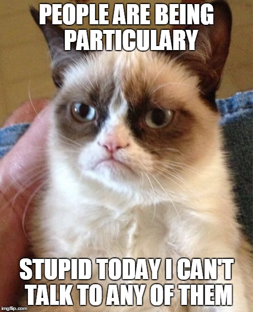Grumpy Cat Meme | PEOPLE ARE BEING  PARTICULARY; STUPID TODAY I CAN'T TALK TO ANY OF THEM | image tagged in memes,grumpy cat | made w/ Imgflip meme maker