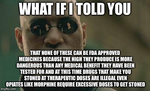 Matrix Morpheus Meme | WHAT IF I TOLD YOU THAT NONE OF THESE CAN BE FDA APPROVED MEDICINES BECAUSE THE HIGH THEY PRODUCE IS MORE DANGEROUS THAN ANY MEDICAL BENEFIT | image tagged in memes,matrix morpheus | made w/ Imgflip meme maker