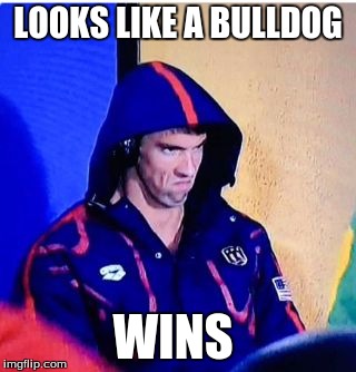 Michael Phelps Death Stare | LOOKS LIKE A BULLDOG; WINS | image tagged in michael phelps death stare | made w/ Imgflip meme maker