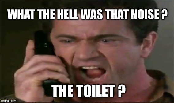 WHAT THE HELL WAS THAT NOISE ? THE TOILET ? | made w/ Imgflip meme maker