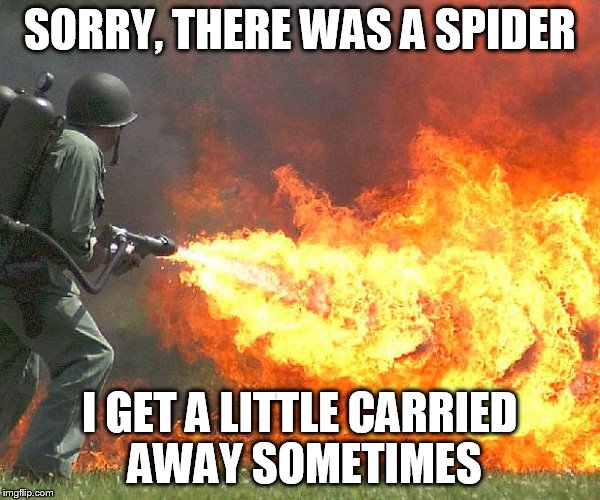 SORRY, THERE WAS A SPIDER I GET A LITTLE CARRIED AWAY SOMETIMES | image tagged in flamethrower | made w/ Imgflip meme maker