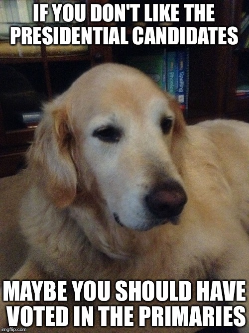 Overly critical dog | IF YOU DON'T LIKE THE PRESIDENTIAL CANDIDATES; MAYBE YOU SHOULD HAVE VOTED IN THE PRIMARIES | image tagged in overly critical dog | made w/ Imgflip meme maker