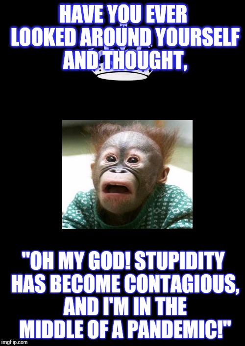 Every time someone opens their mouth... | HAVE YOU EVER LOOKED AROUND YOURSELF AND THOUGHT, "OH MY GOD! STUPIDITY HAS BECOME CONTAGIOUS, AND I'M IN THE MIDDLE OF A PANDEMIC!" | image tagged in memes,keep calm and carry on black,stupidity,funny | made w/ Imgflip meme maker