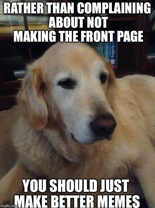 Overly critical dog | RATHER THAN COMPLAINING ABOUT NOT MAKING THE FRONT PAGE; YOU SHOULD JUST MAKE BETTER MEMES | image tagged in overly critical dog | made w/ Imgflip meme maker