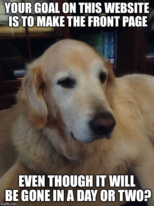 Overly critical dog | YOUR GOAL ON THIS WEBSITE IS TO MAKE THE FRONT PAGE; EVEN THOUGH IT WILL BE GONE IN A DAY OR TWO? | image tagged in overly critical dog | made w/ Imgflip meme maker