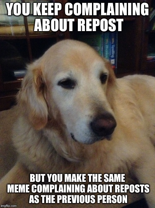 Overly critical dog | YOU KEEP COMPLAINING ABOUT REPOST; BUT YOU MAKE THE SAME MEME COMPLAINING ABOUT REPOSTS AS THE PREVIOUS PERSON | image tagged in overly critical dog | made w/ Imgflip meme maker