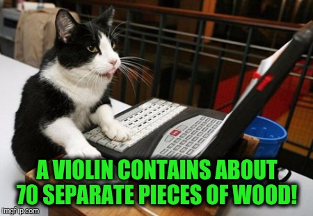 Use me to highlight facts! | A VIOLIN CONTAINS ABOUT 70 SEPARATE PIECES OF WOOD! | image tagged in fact cat | made w/ Imgflip meme maker