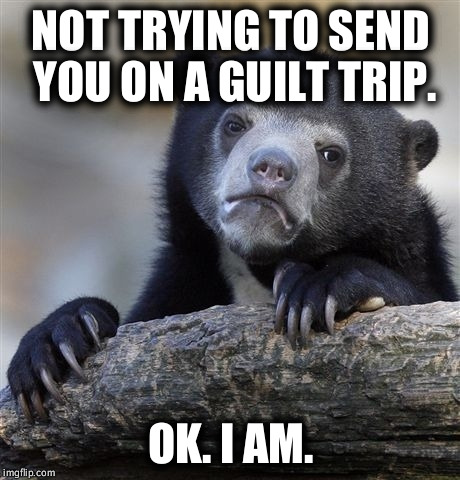 Confession Bear Meme | NOT TRYING TO SEND YOU ON A GUILT TRIP. OK. I AM. | image tagged in memes,confession bear | made w/ Imgflip meme maker