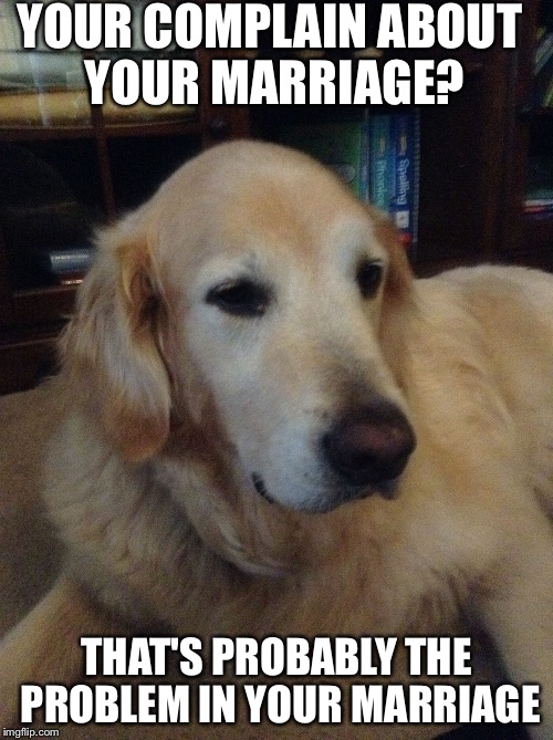 Overly critical dog | YOUR COMPLAIN ABOUT YOUR MARRIAGE? THAT'S PROBABLY THE PROBLEM IN YOUR MARRIAGE | image tagged in overly critical dog | made w/ Imgflip meme maker