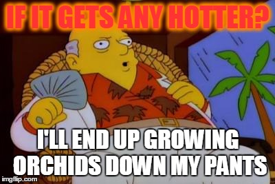 It's Too Hot Today Simpsons | IF IT GETS ANY HOTTER? I'LL END UP GROWING ORCHIDS DOWN MY PANTS | image tagged in it's too hot today simpsons | made w/ Imgflip meme maker