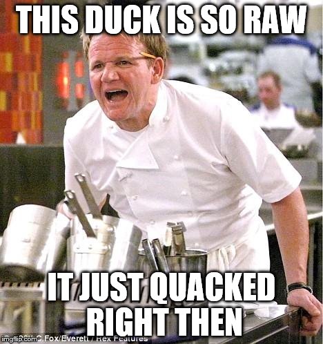 Chef Gordon Ramsay Meme | THIS DUCK IS SO RAW; IT JUST QUACKED RIGHT THEN | image tagged in memes,chef gordon ramsay | made w/ Imgflip meme maker