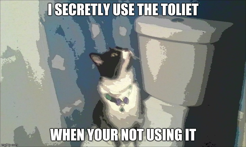 Using the toliet | I SECRETLY USE THE TOLIET; WHEN YOUR NOT USING IT | image tagged in blue abstract cat,cats | made w/ Imgflip meme maker