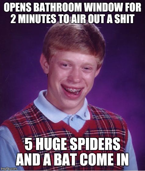 Bad Luck Brian | OPENS BATHROOM WINDOW FOR 2 MINUTES TO AIR OUT A SHIT; 5 HUGE SPIDERS AND A BAT COME IN | image tagged in memes,bad luck brian | made w/ Imgflip meme maker
