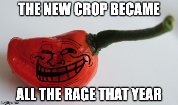 THE NEW CROP BECAME ALL THE RAGE THAT YEAR | made w/ Imgflip meme maker