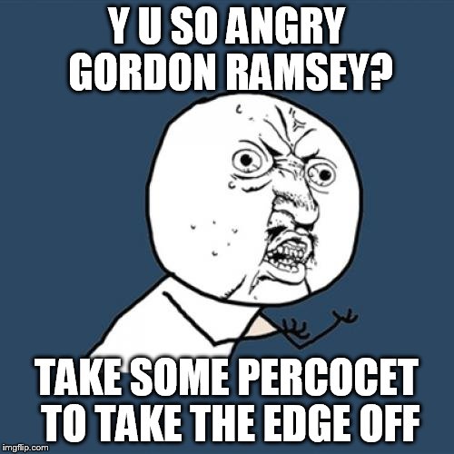 Y U No Meme | Y U SO ANGRY GORDON RAMSEY? TAKE SOME PERCOCET TO TAKE THE EDGE OFF | image tagged in memes,y u no | made w/ Imgflip meme maker