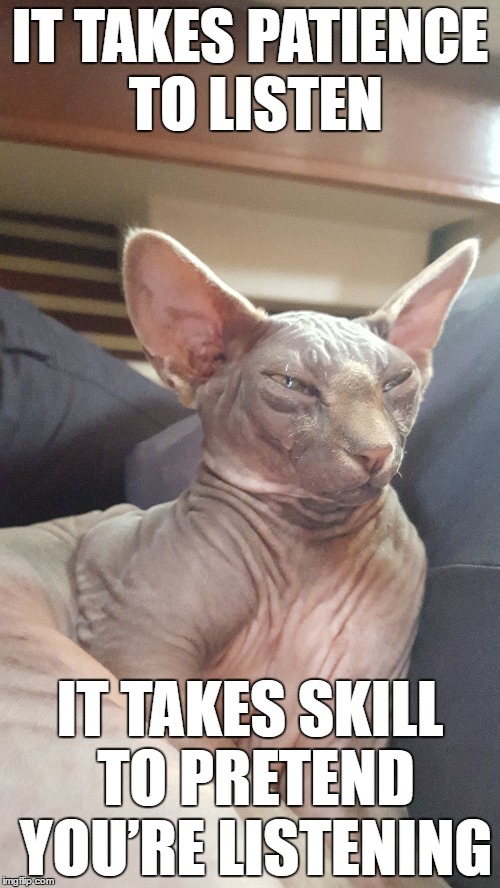Pretend Listening MrFluffyBoatHag | IT TAKES PATIENCE TO LISTEN; IT TAKES SKILL TO PRETEND YOU’RE LISTENING | image tagged in pretend,listen,don't care,hairless,cat | made w/ Imgflip meme maker