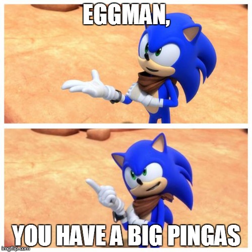 Sonic boom | EGGMAN, YOU HAVE A BIG PINGAS | image tagged in sonic boom | made w/ Imgflip meme maker