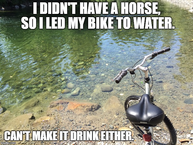 You can lead a horse to water... | I DIDN'T HAVE A HORSE, SO I LED MY BIKE TO WATER. CAN'T MAKE IT DRINK EITHER. | image tagged in funny,bike,horse,new proverbs | made w/ Imgflip meme maker