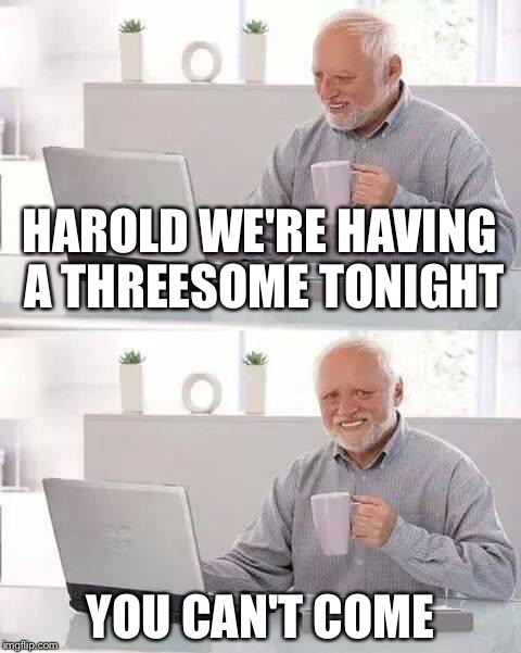 Oh Look, an Email from my Wife | HAROLD WE'RE HAVING A THREESOME TONIGHT; YOU CAN'T COME | image tagged in memes,hide the pain harold | made w/ Imgflip meme maker