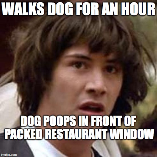 Conspiracy Keanu Meme | WALKS DOG FOR AN HOUR; DOG POOPS IN FRONT OF PACKED RESTAURANT WINDOW | image tagged in memes,conspiracy keanu | made w/ Imgflip meme maker