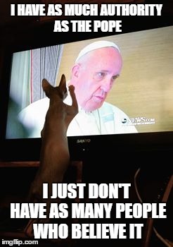 Pope cat MrFluffyBoatHag | I HAVE AS MUCH AUTHORITY AS THE POPE; I JUST DON'T HAVE AS MANY PEOPLE WHO BELIEVE IT | image tagged in pope,cat,hairless,authority,believe | made w/ Imgflip meme maker