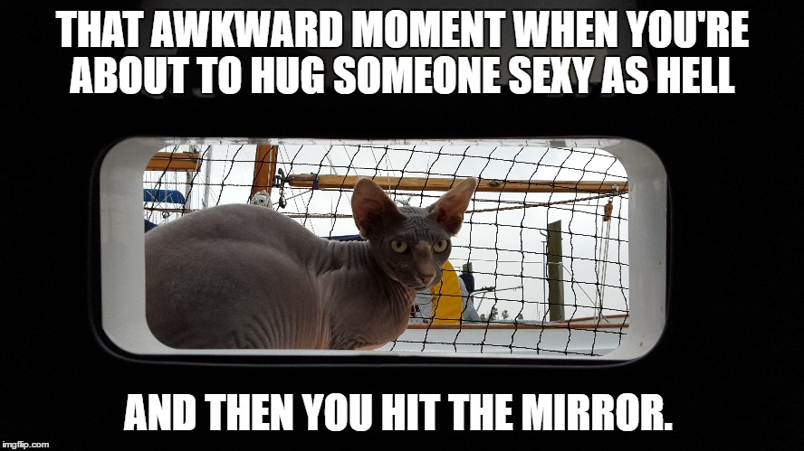 Awkward Mirror MrFluffyBoatHag | THAT AWKWARD MOMENT WHEN YOU'RE ABOUT TO HUG SOMEONE SEXY AS HELL; AND THEN YOU HIT THE MIRROR. | image tagged in awkward,mirror,conceited,sexy,sons of anarchy,cat | made w/ Imgflip meme maker