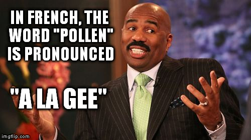 Steve Harvey Meme | IN FRENCH, THE WORD "POLLEN" IS PRONOUNCED; "A LA GEE" | image tagged in memes,steve harvey,scumbag french,allergies,wtfever | made w/ Imgflip meme maker