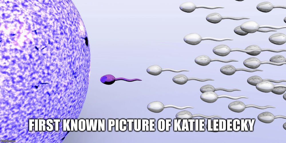 Phelps sperm | FIRST KNOWN PICTURE OF KATIE LEDECKY | image tagged in phelps sperm | made w/ Imgflip meme maker