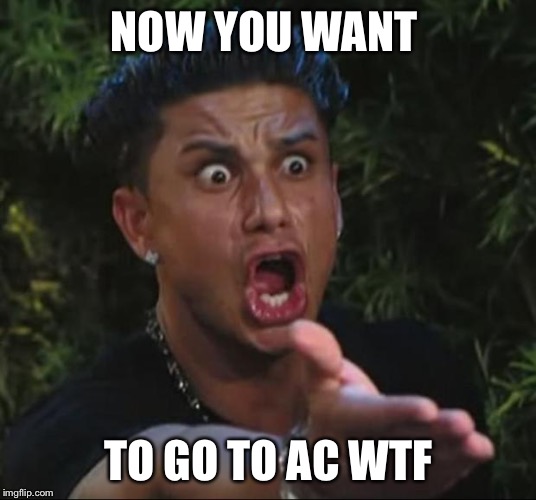 DJ Pauly D | NOW YOU WANT; TO GO TO AC WTF | image tagged in memes,dj pauly d | made w/ Imgflip meme maker