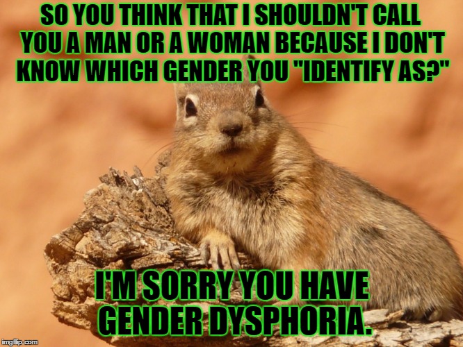 Almost didn't use my own template for Template Quest... | SO YOU THINK THAT I SHOULDN'T CALL YOU A MAN OR A WOMAN BECAUSE I DON'T KNOW WHICH GENDER YOU "IDENTIFY AS?"; I'M SORRY YOU HAVE GENDER DYSPHORIA. | image tagged in memes,social expectations squirrel,funny,idiots,animals | made w/ Imgflip meme maker